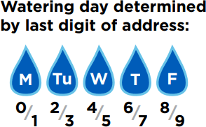 Watering Day Determined by Address