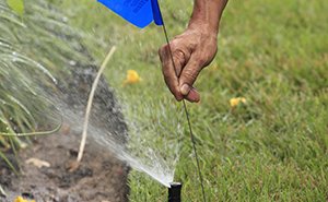 flag marking bad sprinkler