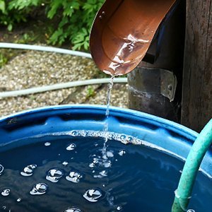 Rain Barrel