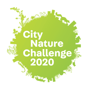 city nature challenge logo