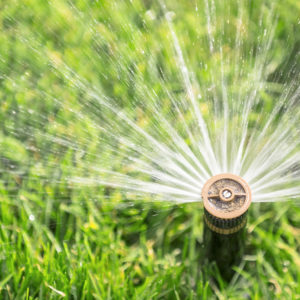 automatic sprinkler watering