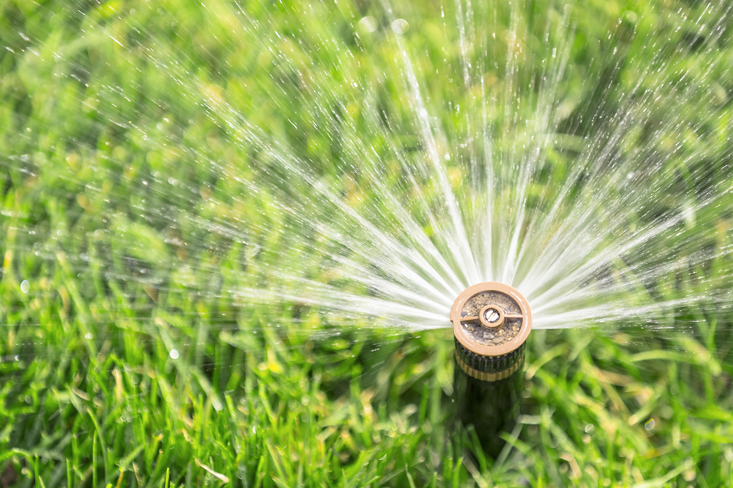 automatic sprinkler watering