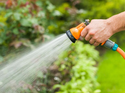 Hand-watering