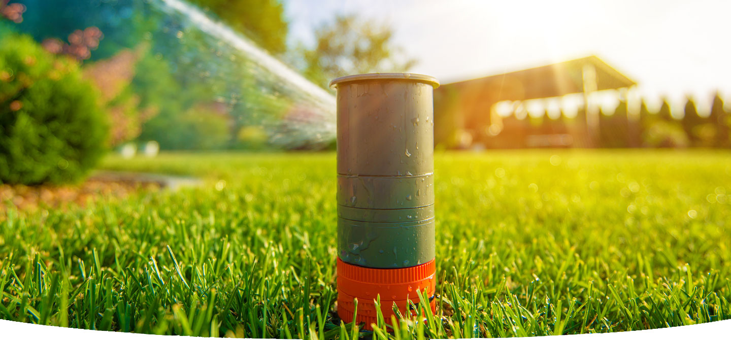 Don’t Get Soaked by Summer Watering San Antonio Water System