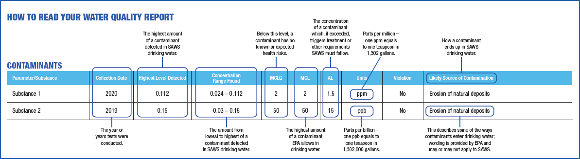 example report