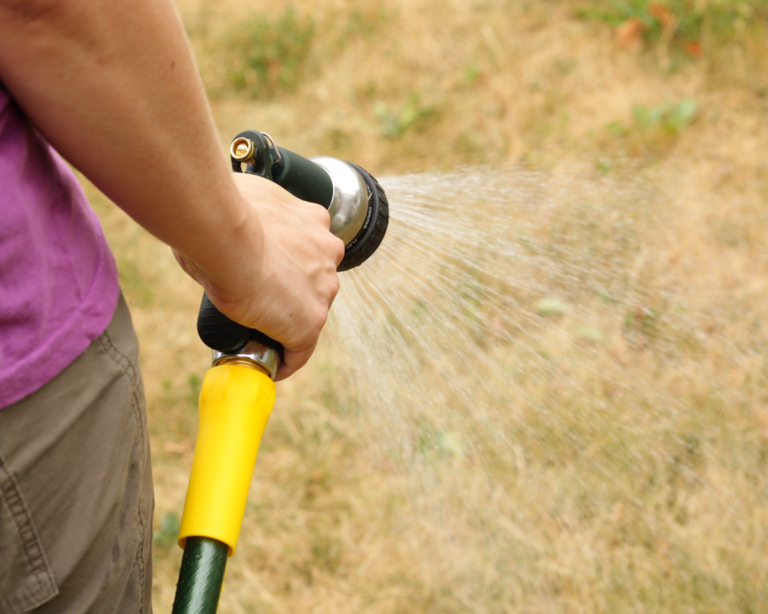 watering dead lawn