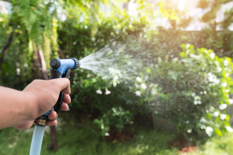 Watering tree in garden San Antonio Water System