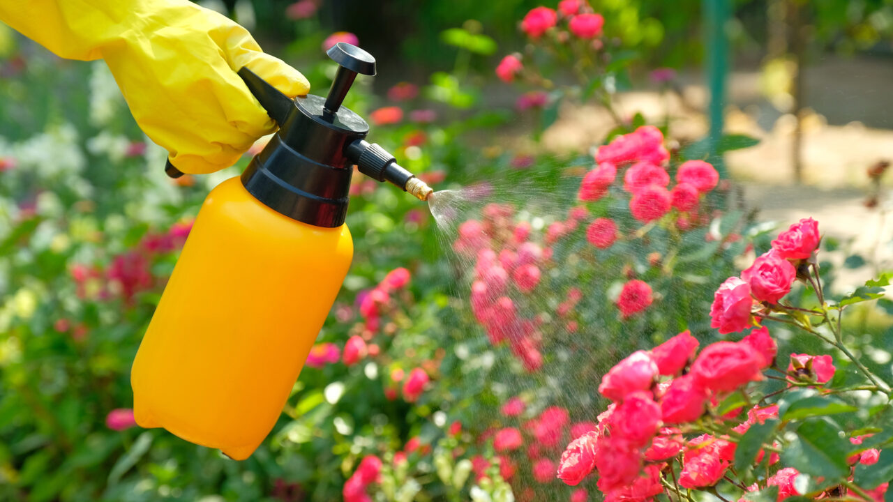 Always dispose of pesticides properly San Antonio Water System