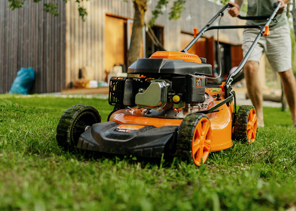 Mowing the lawn