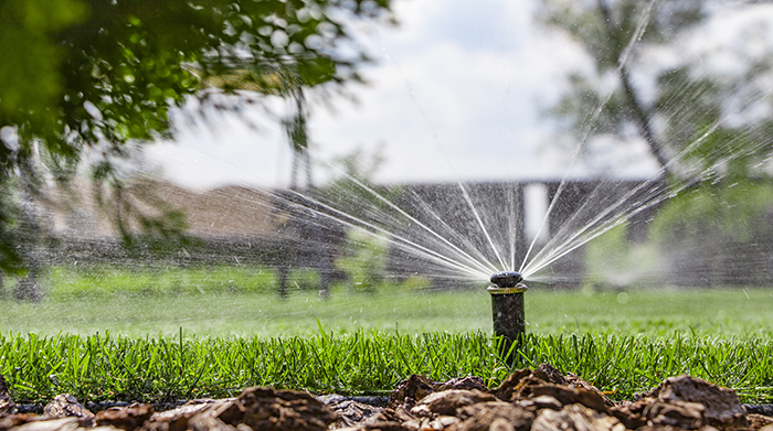 irrigation