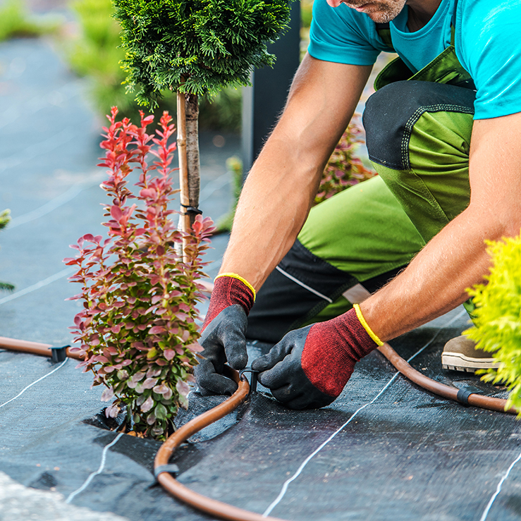 San Antonio Water Systems Bill Pay