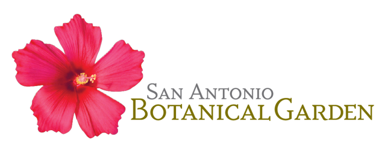 botanical garden