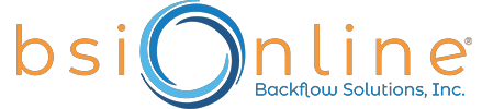 BSI logo image