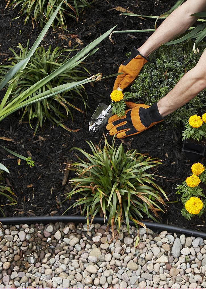 drought-tolerant landscaping