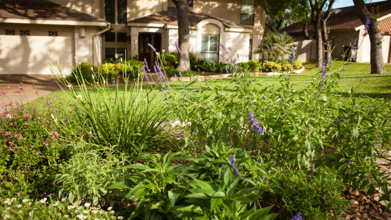 garden bed