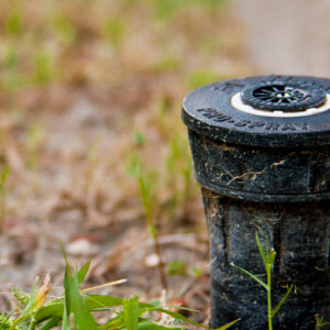 sprinkler off